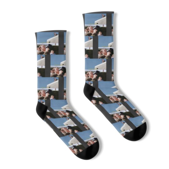 Discover the office Socks
