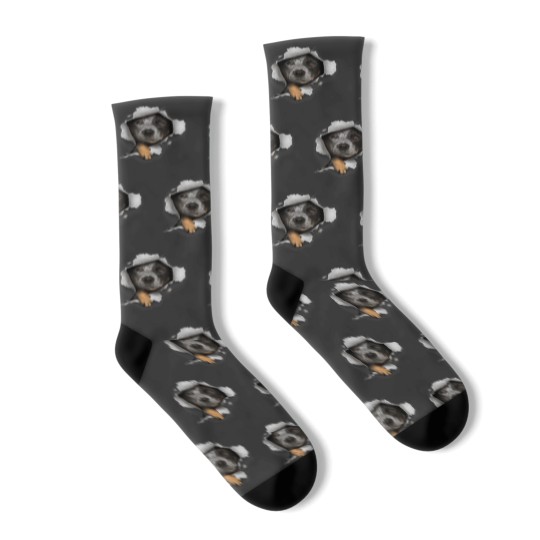Discover Australian Cattle Dog Herding Dog Blue Heeler Ca Socks