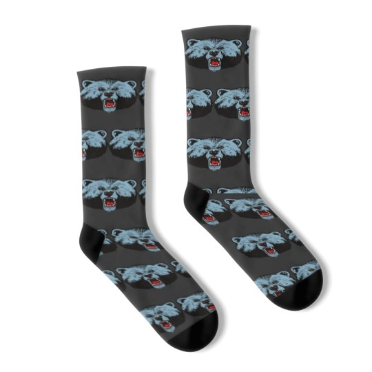 Discover Go to Livingstone College LC Blue Bears Socks