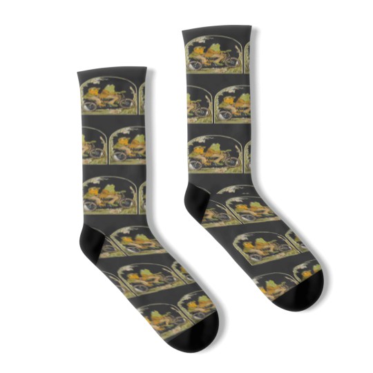 Discover Frog and Toad Socks