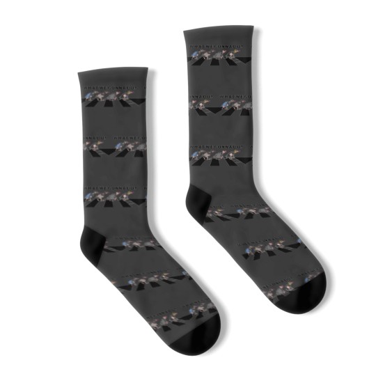 Discover P mccartney Wings Socks