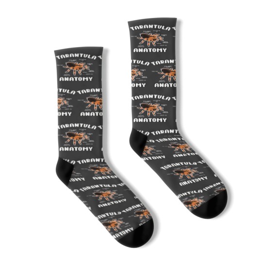 Discover Tarantula Anatomy Funny Spider Lover Arachnid Owner Breeder Socks