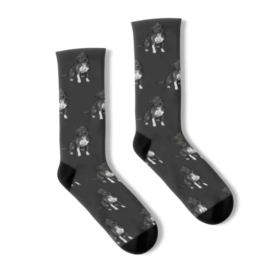 Discover American Pitbull Terrier Dog | Black and White - Pitbull - Socks