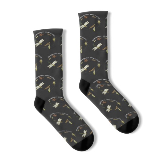 Discover Dragonfly Life Cycle Facts 3 Stages Insect Development Socks