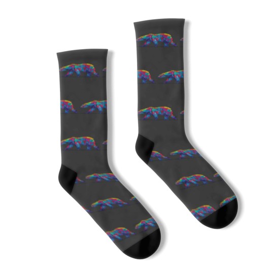 Discover Rainbow Geometric Polar Bear Socks