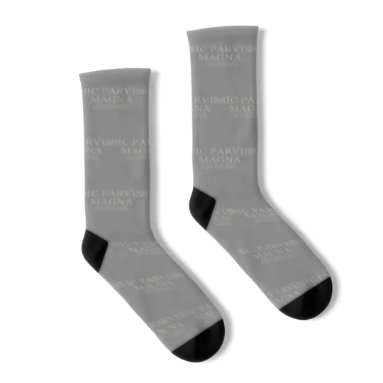 Discover Greatness From Small Beginnings - Light Socks