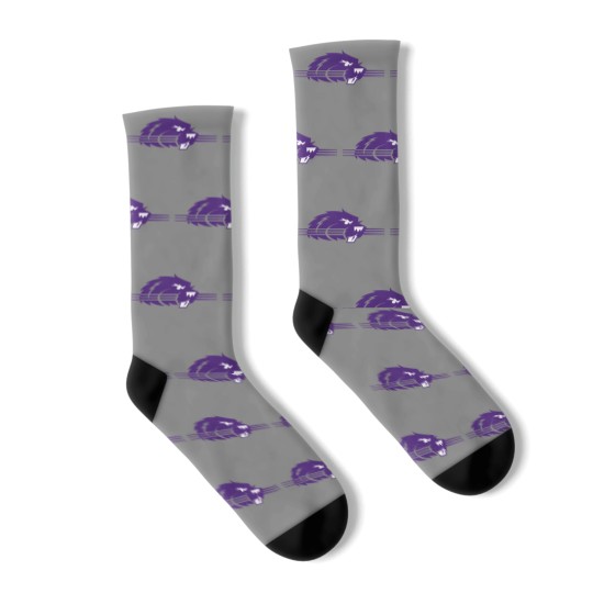 Discover College of Bluffton Beavers Athletic Socks