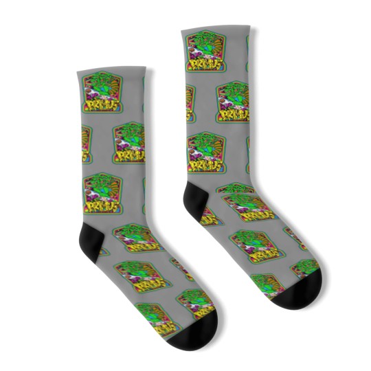 Discover Primus  Les Claypool  bass player Socks