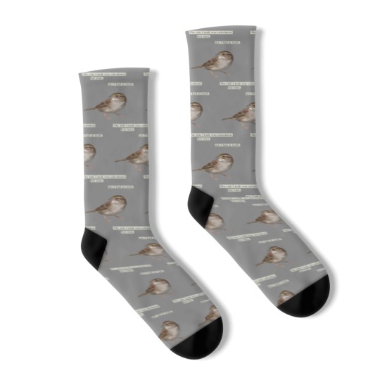 Discover The risk I took was calculated Socks