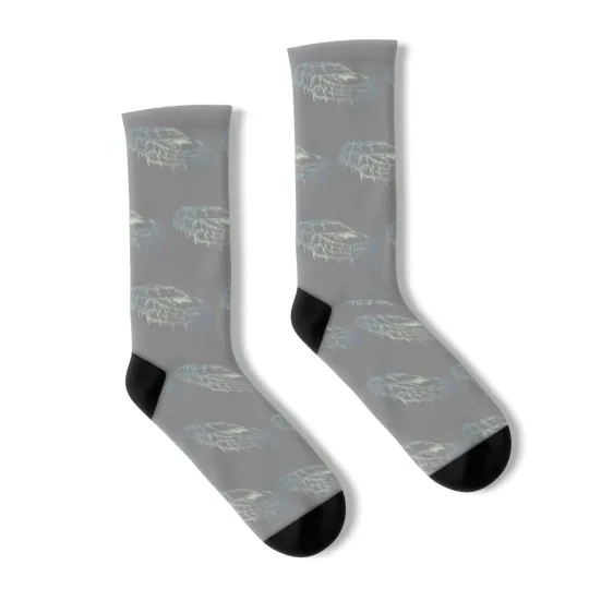 Discover tuned car Socks