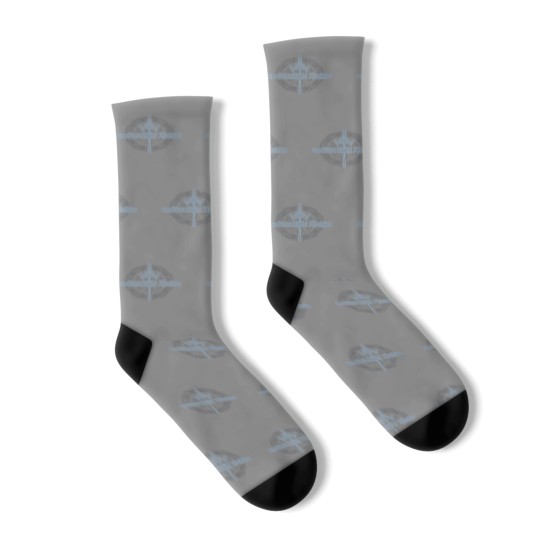 Discover The Stormlight Archive Title W Windrunner Glyph Socks
