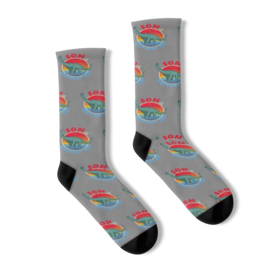 Discover Boy Birthday I Son I Brachiosaurus I Family Matchi Socks