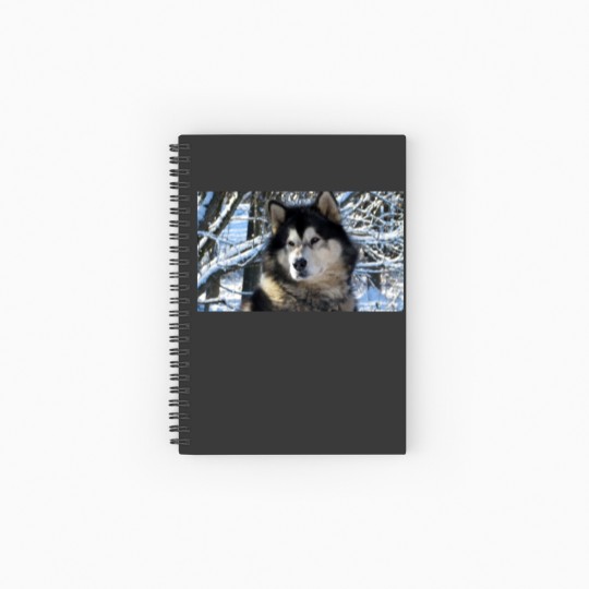 Discover Loup's first snowfall 2012 Spiral Notebooks   Ruled Line