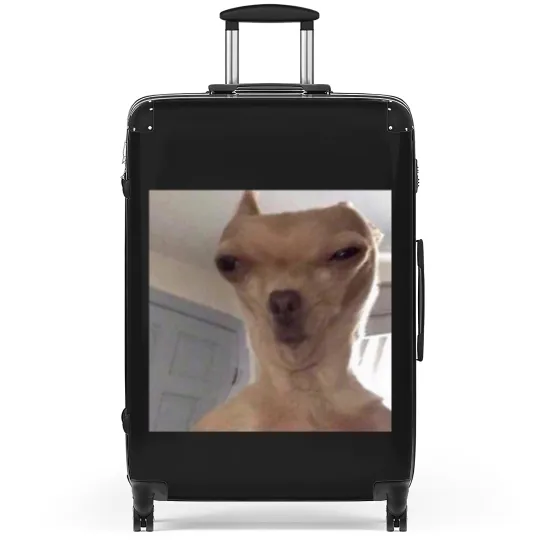 Discover Chihuahua meme - Funny - Suitcases