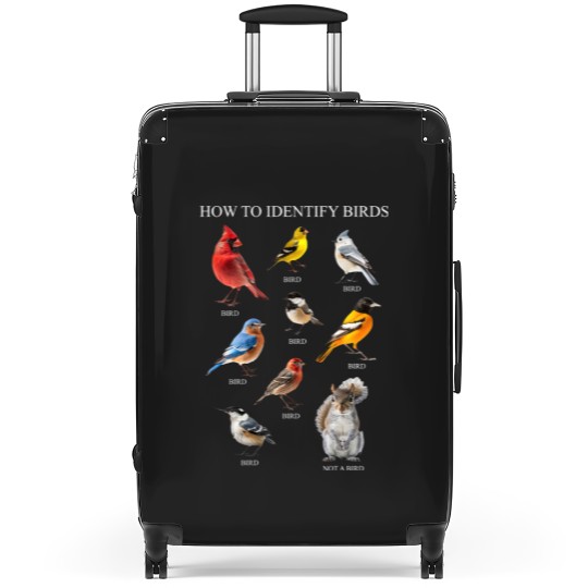 Discover Bird Suitcases, How to Identify Birds Suitcases