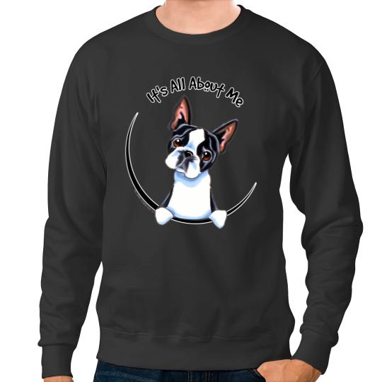 Discover Boston Sweatshirts