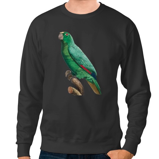 Discover Cute Bird 2 jimmy buffett to p sellin g widodo ganteng transparent Sweatshirts