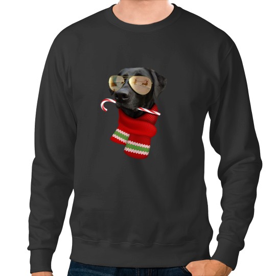 Discover Labrador Christmas Gift Dog Lovers Lab Sunglasses Sweatshirts