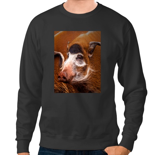 Discover Zoology - Red River Hog Sweatshirts