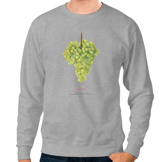 Discover Grape or Vitis Sweatshirts