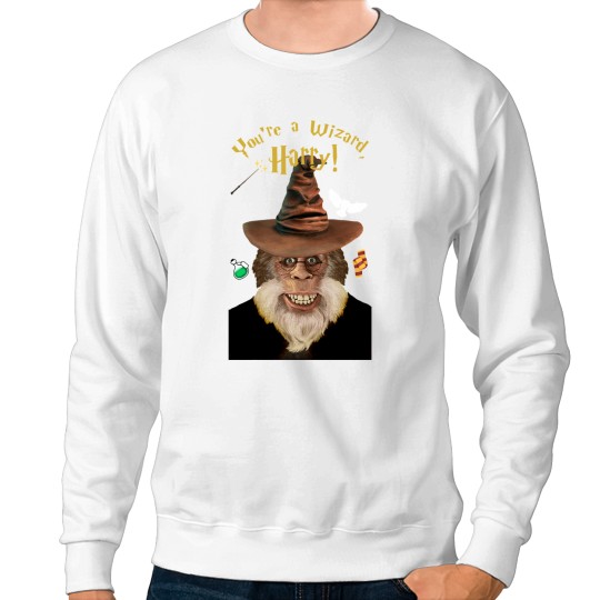 Discover you're a wizard, Harry Henderson Sweatshirts