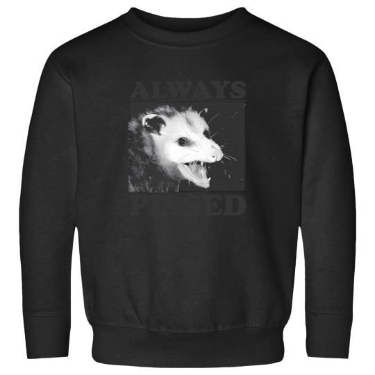 Discover Always Pissed Funny Opossum Eat Trash Be Free Sweatshirts