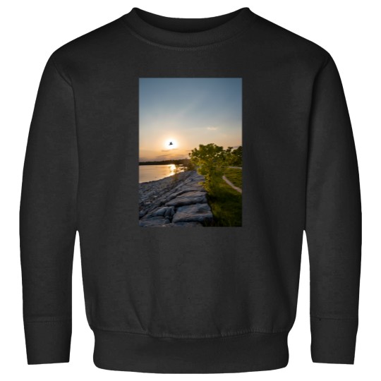 Discover bird flies in front of the sunset Sweatshirts