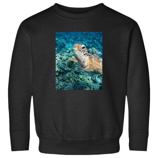 Discover Green Turtle On Great Barrier Reef Sweatshirts