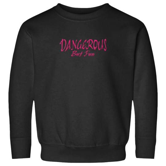 Discover Womens Dangerous but Fun VNeck Sweatshirts