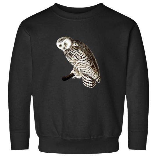 Discover Snowy Owl Vintage Illustration Sweatshirts