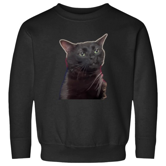 Discover Zoned Out Cat Sweatshirts