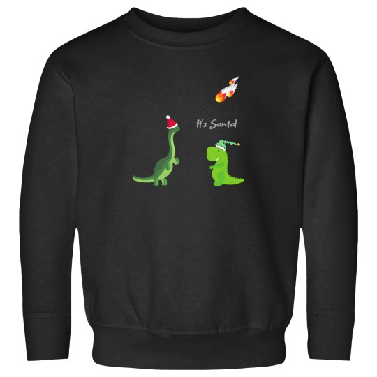 Discover It'S-Santa---Silly-Dinosaurs-Extinction T-Shirt Sweatshirts