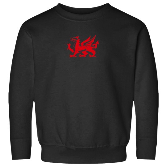 Discover Wales Sweatshirts