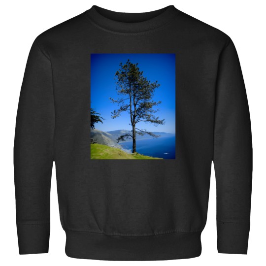 Discover Big Sur Point 16 Sweatshirts