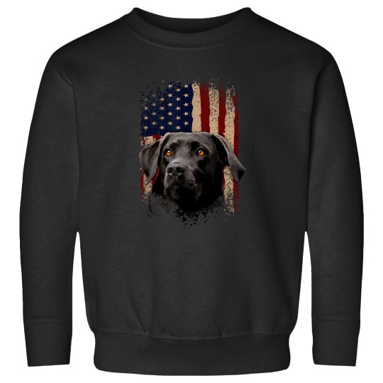 Discover American-Black-Labrador-Usa-Flag-Lab-Owner-T-Shirt Sweatshirts