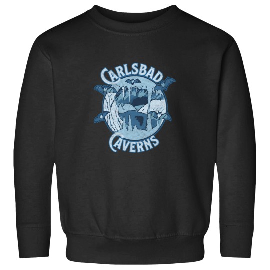 Discover Carlsbad Caverns National Park Cave Bat Sweatshirts