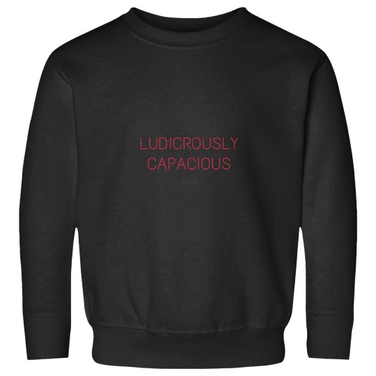 Discover Ludicrously Capacious Bag Sweatshirts