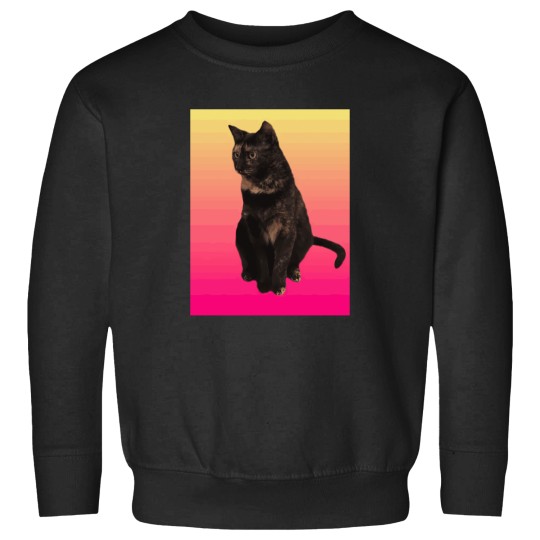 Discover Pretty-Little-Tortie T-Shirt Sweatshirts