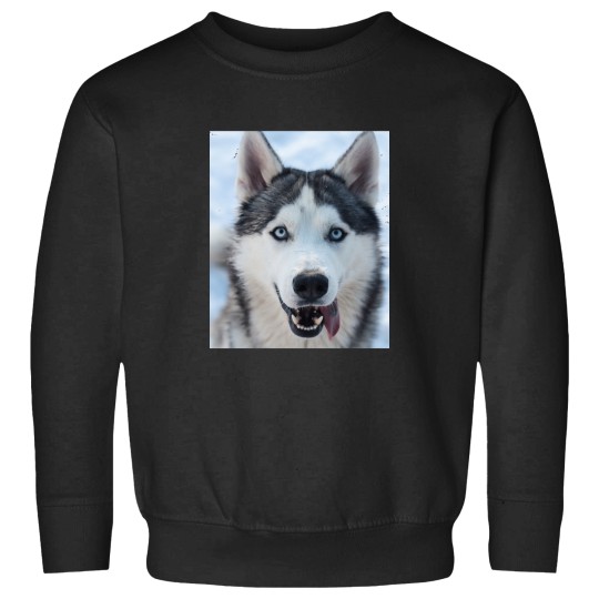 Discover funnys Looking Siberian Husky dogs Classic Sweatshirts