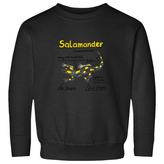 Discover Salamander Oversized Sweatshirts