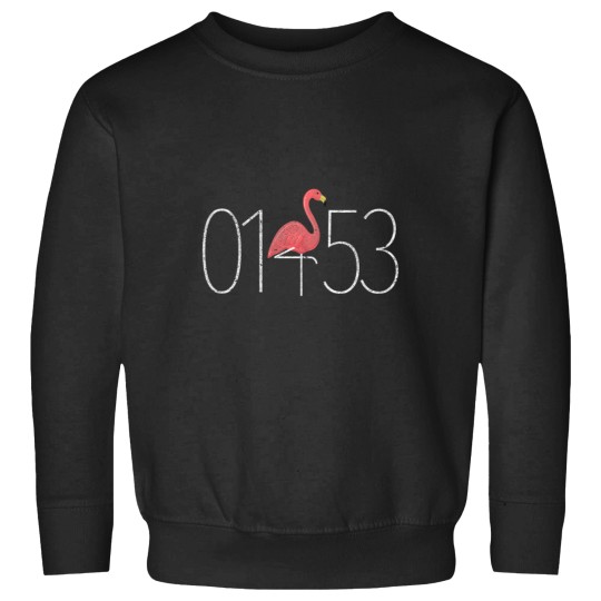 Discover 01453 dark Sweatshirts
