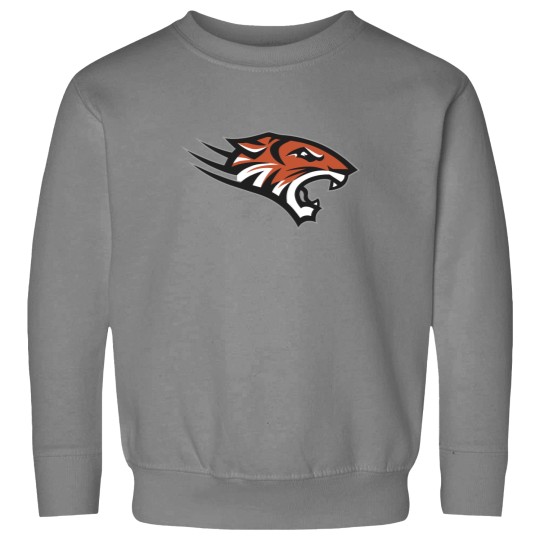 Discover Towson Tigers Sweatshirts