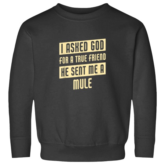 Discover God Sent Me A Mule Funny Mule Sweatshirts