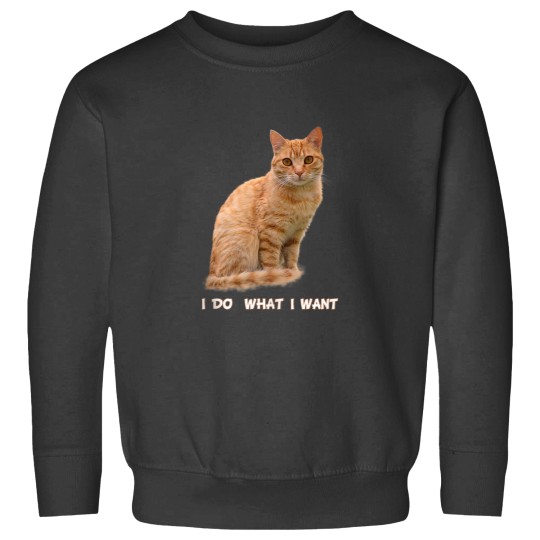 Discover I Do What I Want Funny Orange Tabby Cat Lovers Gifts Sweatshirts