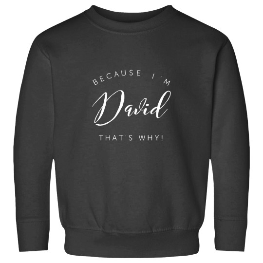 Discover Because I m David that s why! Sweatshirts