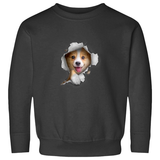 Discover Funny Corgi Owner Sweatshirts