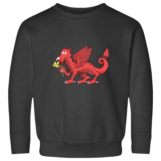 Discover Welsh Dragon Sweatshirts