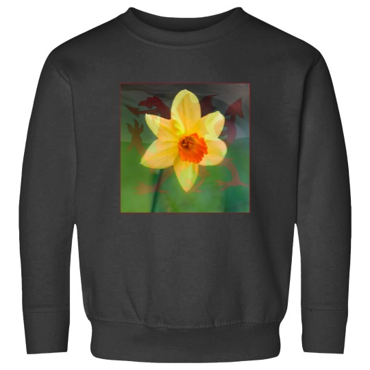 Discover Proud To Be Welsh Sweatshirts