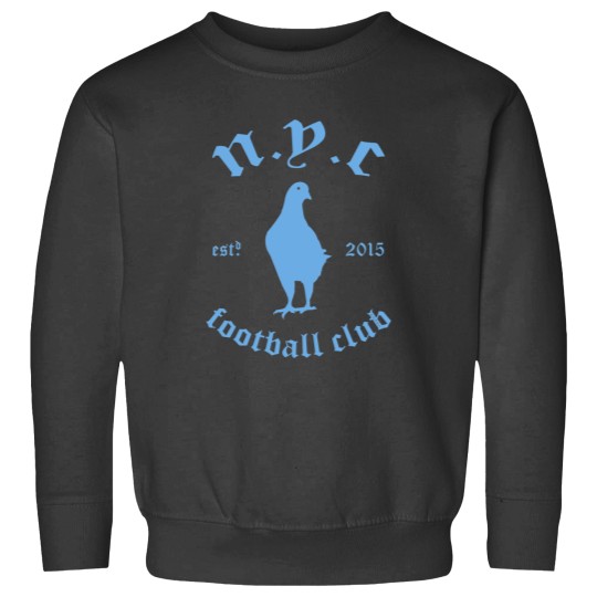 Discover New York City  Pigeons Sweatshirts