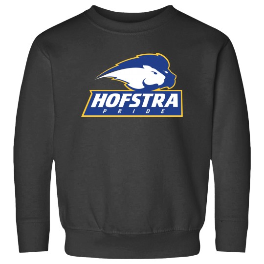 Discover Hofstra Pride Sweatshirts